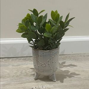 Gray Constellation Planter with Green Plant